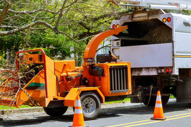 Best Tree Health Inspection  in Redland, MD